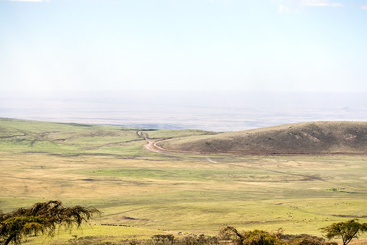 TZA ARU Ngorongoro 2016DEC23 032